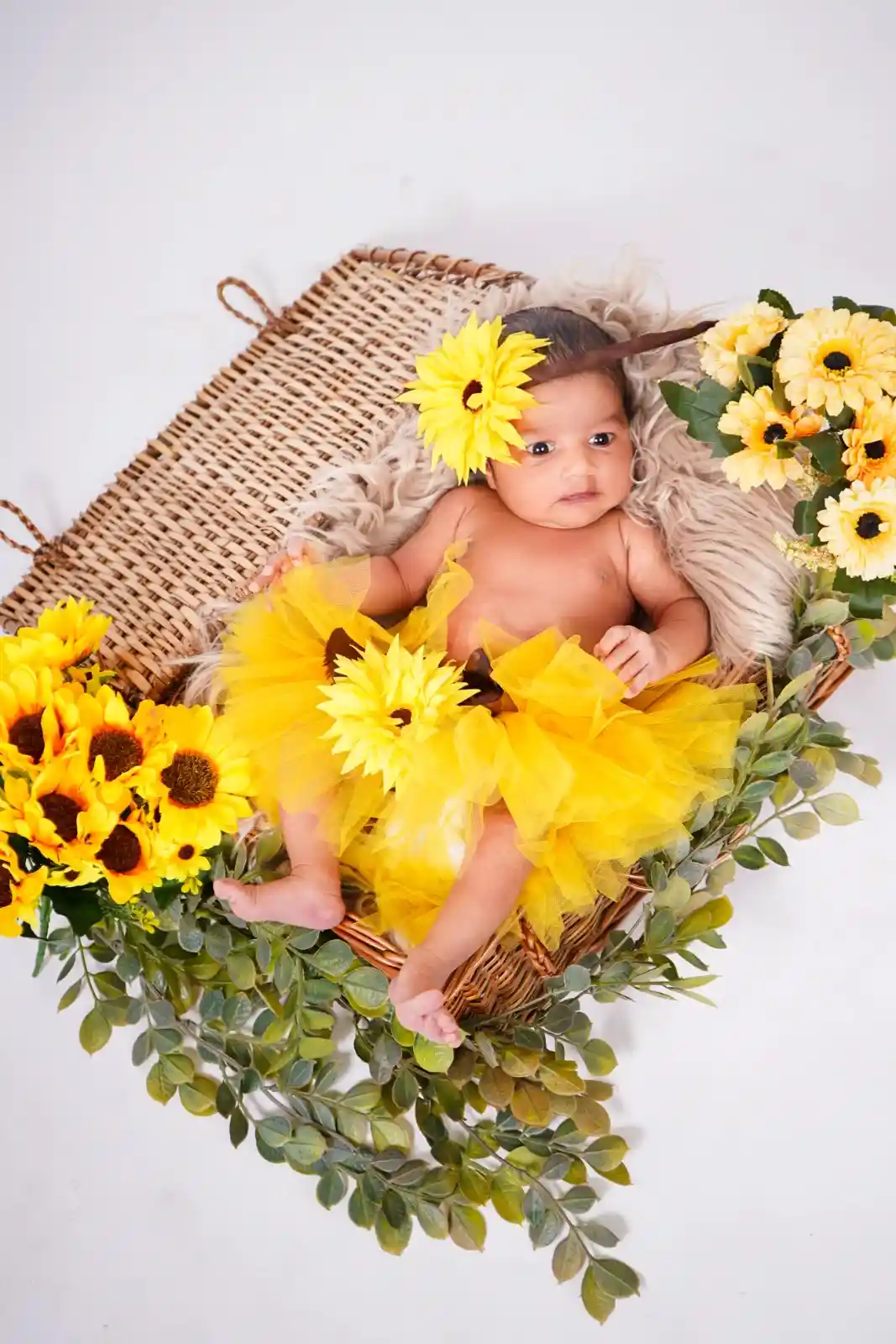 Sunflower Garden theme for newborn baby shoot