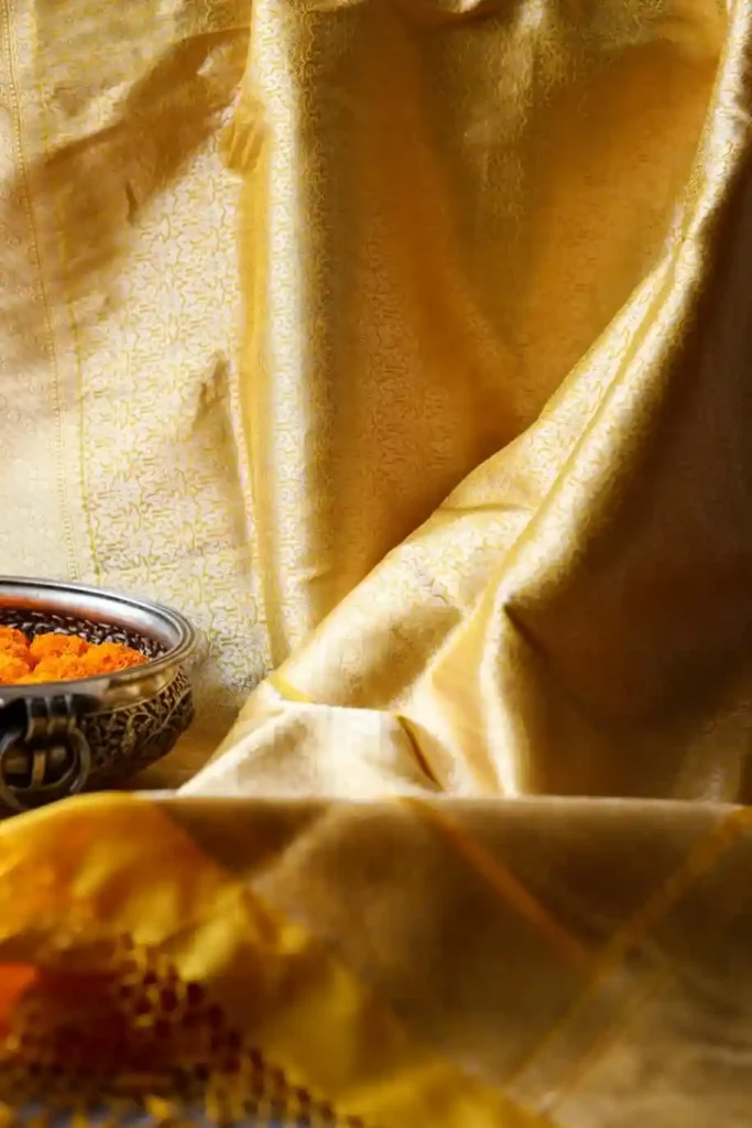 Display Saree Product Photography