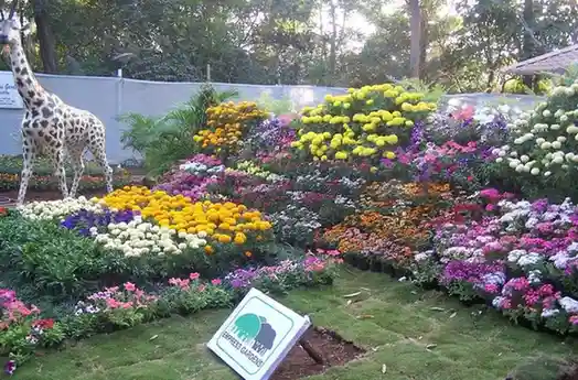 Empress Garden, Pune